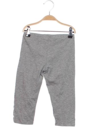 Gyerek leggings Terranova, Méret 5-6y / 116-122 cm, Szín Szürke, Ár 2 509 Ft