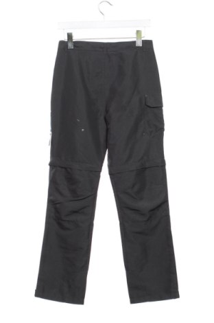 Dziecięce spodnie TCM, Rozmiar 12-13y/ 158-164 cm, Kolor Zielony, Cena 58,94 zł