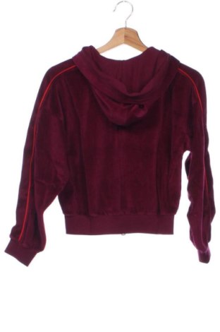Kinder Sweatshirts Calvin Klein Jeans, Größe 12-13y/ 158-164 cm, Farbe Rot, Preis 94,99 €