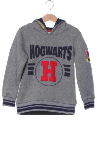 Детски суитшърт Harry Potter, Размер 5-6y/ 116-122 см, Цвят Многоцветен, Цена 11,70 €