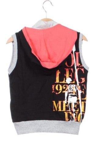 Παιδικό φούτερ Unbranded, Μέγεθος 4-5y/ 110-116 εκ., Χρώμα Πολύχρωμο, Τιμή 11,00 €