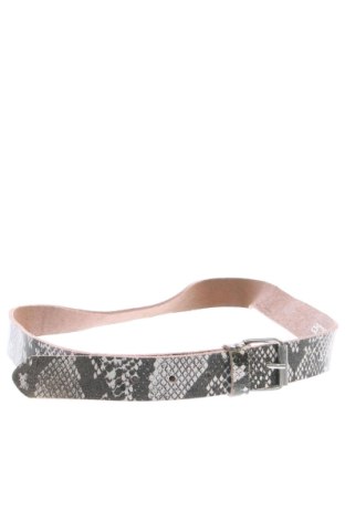 Ζώνη Esmara, Χρώμα Πολύχρωμο, Τιμή 17,99 €