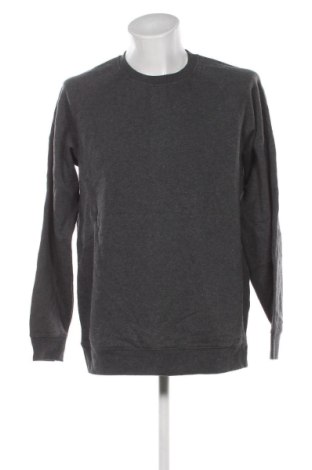 Herren Shirt Unbranded, Größe L, Farbe Grau, Preis € 9,99