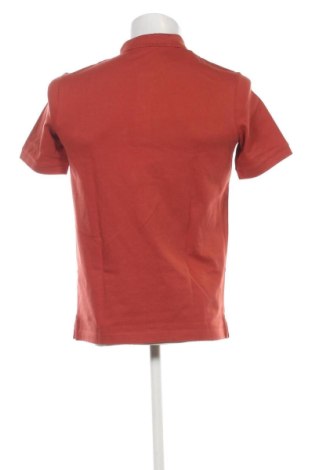 Herren Shirt Calvin Klein, Größe S, Farbe Braun, Preis 73,99 €