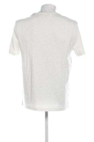 Herren Shirt Calvin Klein, Größe L, Farbe Ecru, Preis 51,99 €