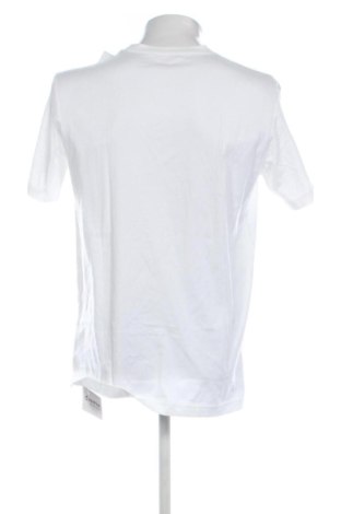 Herren Shirt Calvin Klein Jeans, Größe L, Farbe Mehrfarbig, Preis 39,99 €