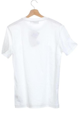 Herren Shirt Calvin Klein Jeans, Größe XS, Farbe Weiß, Preis 44,99 €