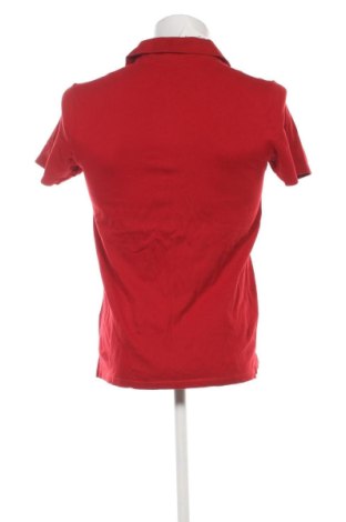 Ανδρικό t-shirt GianMarco Venturi, Μέγεθος L, Χρώμα Πολύχρωμο, Τιμή 11,99 €