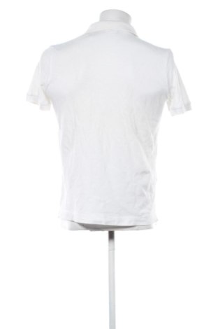 Мъжка тениска Lacoste, Размер L, Цвят Многоцветен, Цена 20,96 €