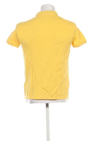 Ανδρικό t-shirt U.S. Polo Assn., Μέγεθος M, Χρώμα Κίτρινο, Τιμή 25,00 €