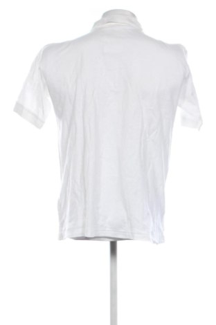 Pánské tričko  Unbranded, Velikost L, Barva Bílá, Cena  283,00 Kč