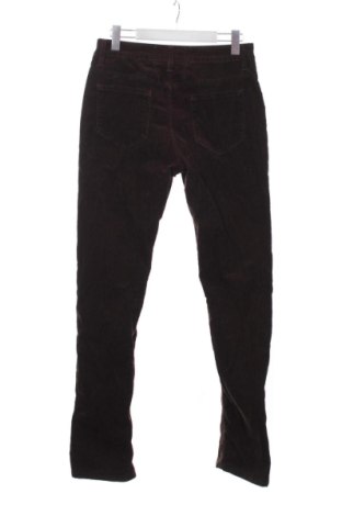 Męskie sztruksy Closed, Rozmiar M, Kolor Brązowy, Cena 282,66 zł