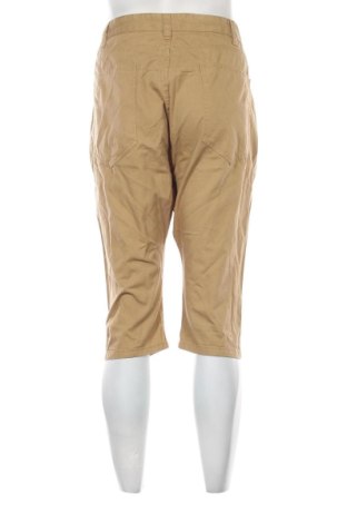 Pantaloni scurți de bărbați CedarWood State, Mărime XL, Culoare Portocaliu, Preț 91,99 Lei