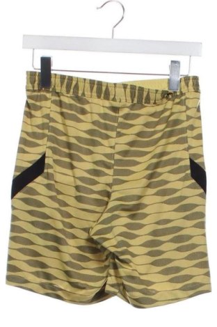 Pantaloni scurți de bărbați Nike, Mărime S, Culoare Multicolor, Preț 109,99 Lei
