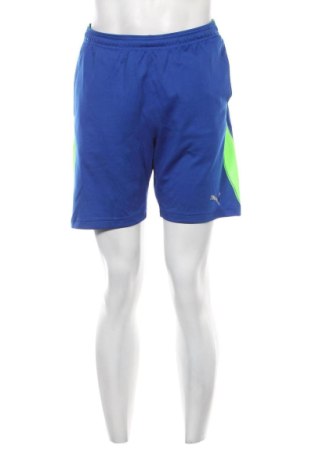 Pánské kraťasy PUMA, Velikost M, Barva Modrá, Cena  482,00 Kč