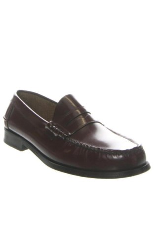 Férfi cipők
 Scalpers, Méret 42, Szín Barna, Ár 45 289 Ft