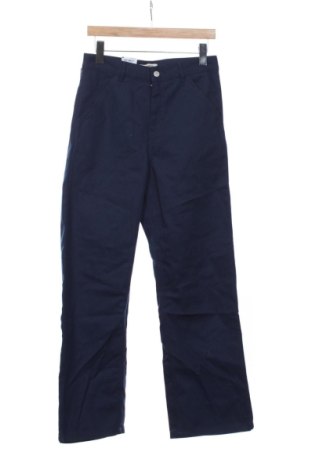 Pánske nohavice  Carhartt, Veľkosť S, Farba Modrá, Cena  75,95 €