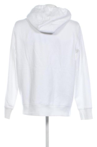 Męska bluza Calvin Klein, Rozmiar XL, Kolor Kolorowy, Cena 404,99 zł