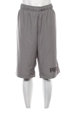Ανδρικό αθλητικό παντελόνι PUMA, Μέγεθος L, Χρώμα Γκρί, Τιμή 24,99 €