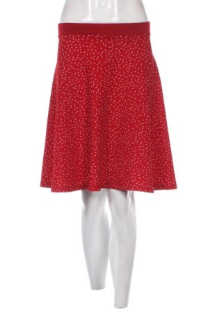 Φούστα Fisherfield, Μέγεθος L, Χρώμα Πολύχρωμο, Τιμή 10,00 €