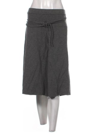 Φούστα Frank Walder, Μέγεθος 3XL, Χρώμα Γκρί, Τιμή 11,99 €