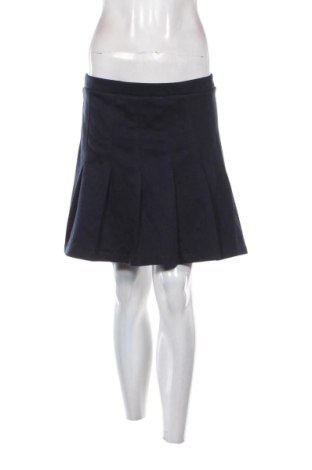 Sukňa H&M, Veľkosť L, Farba Modrá, Cena  5,95 €