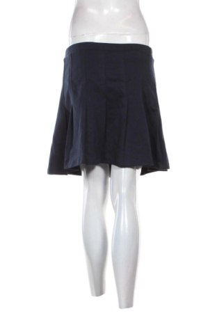 Sukňa H&M, Veľkosť L, Farba Modrá, Cena  5,95 €