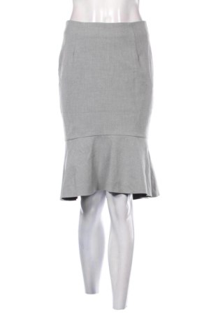 Rock H&M, Größe S, Farbe Grau, Preis € 10,00