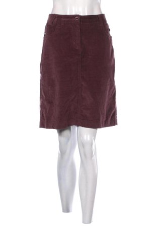 Sukňa Jbc, Veľkosť L, Farba Fialová, Cena  3,95 €