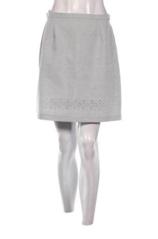 Sukňa Unbranded, Veľkosť M, Farba Sivá, Cena  10,00 €