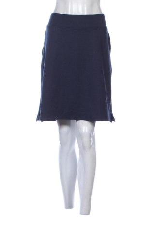 Hosenrock Unbranded, Größe XL, Farbe Blau, Preis € 9,99