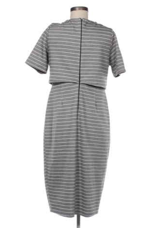 Kleid ASOS, Größe XL, Farbe Mehrfarbig, Preis 28,00 €