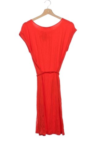 Φόρεμα Betty Barclay, Μέγεθος S, Χρώμα Κόκκινο, Τιμή 31,99 €