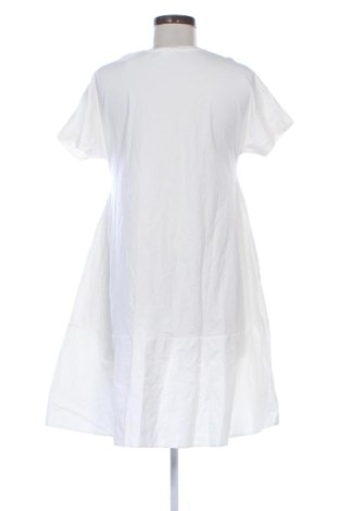 Kleid COS, Größe XS, Farbe Ecru, Preis € 41,99