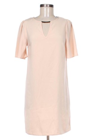 Kleid Dorothy Perkins, Größe S, Farbe Rosa, Preis € 85,01