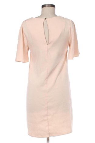 Kleid Dorothy Perkins, Größe S, Farbe Rosa, Preis € 85,01