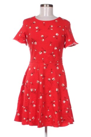 Φόρεμα Dorothy Perkins, Μέγεθος M, Χρώμα Πολύχρωμο, Τιμή 16,99 €