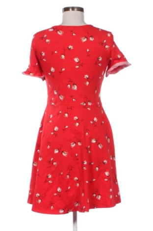 Φόρεμα Dorothy Perkins, Μέγεθος M, Χρώμα Πολύχρωμο, Τιμή 16,99 €