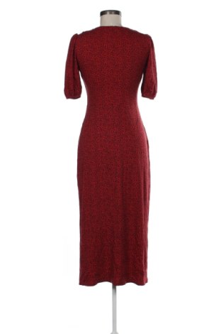 Kleid Dorothy Perkins, Größe M, Farbe Mehrfarbig, Preis 19,73 €