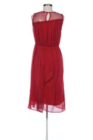 Kleid Liu Jo, Größe L, Farbe Rot, Preis 70,00 €