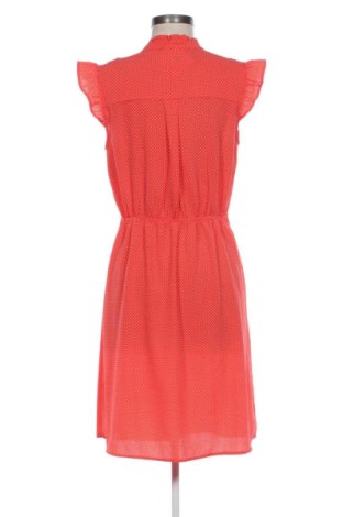 Φόρεμα Monteau, Μέγεθος L, Χρώμα Πολύχρωμο, Τιμή 15,99 €