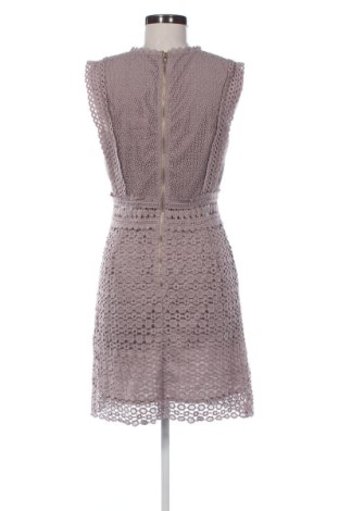 Φόρεμα New Look, Μέγεθος M, Χρώμα Σάπιο μήλο, Τιμή 19,97 €