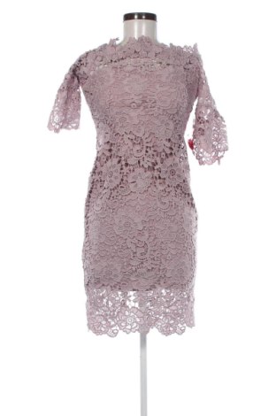 Φόρεμα Paper Dolls, Μέγεθος M, Χρώμα Ρόζ , Τιμή 22,99 €