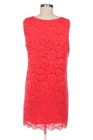 Φόρεμα Perla Nera, Μέγεθος L, Χρώμα Πολύχρωμο, Τιμή 24,99 €