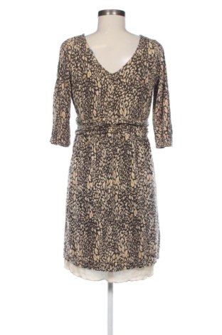 Kleid Philip Russel, Größe XL, Farbe Mehrfarbig, Preis 25,00 €