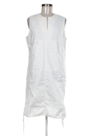 Kleid Promiss, Größe L, Farbe Beige, Preis 24,55 €