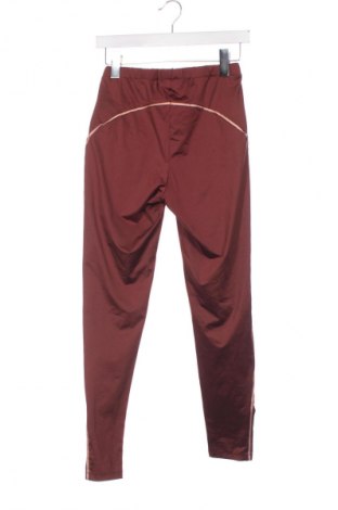 Damen Leggings Tezenis, Größe XS, Farbe Braun, Preis 1,99 €