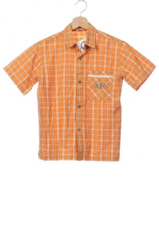 Dziecięca koszula Dognose, Rozmiar 8-9y/ 134-140 cm, Kolor Kolorowy, Cena 6,99 zł