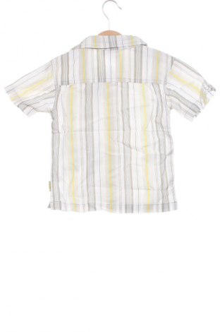 Dziecięca koszula Topolino, Rozmiar 18-24m/ 86-98 cm, Kolor Kolorowy, Cena 6,99 zł