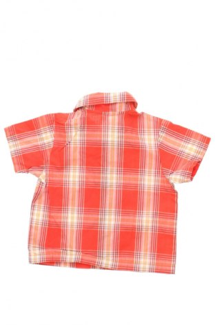 Dziecięca koszula Unbranded, Rozmiar 6-9m/ 68-74 cm, Kolor Kolorowy, Cena 6,99 zł